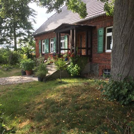 Zum Schwalbennest Apartment Wredenhagen Ngoại thất bức ảnh